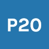 p20-express-parking-badge